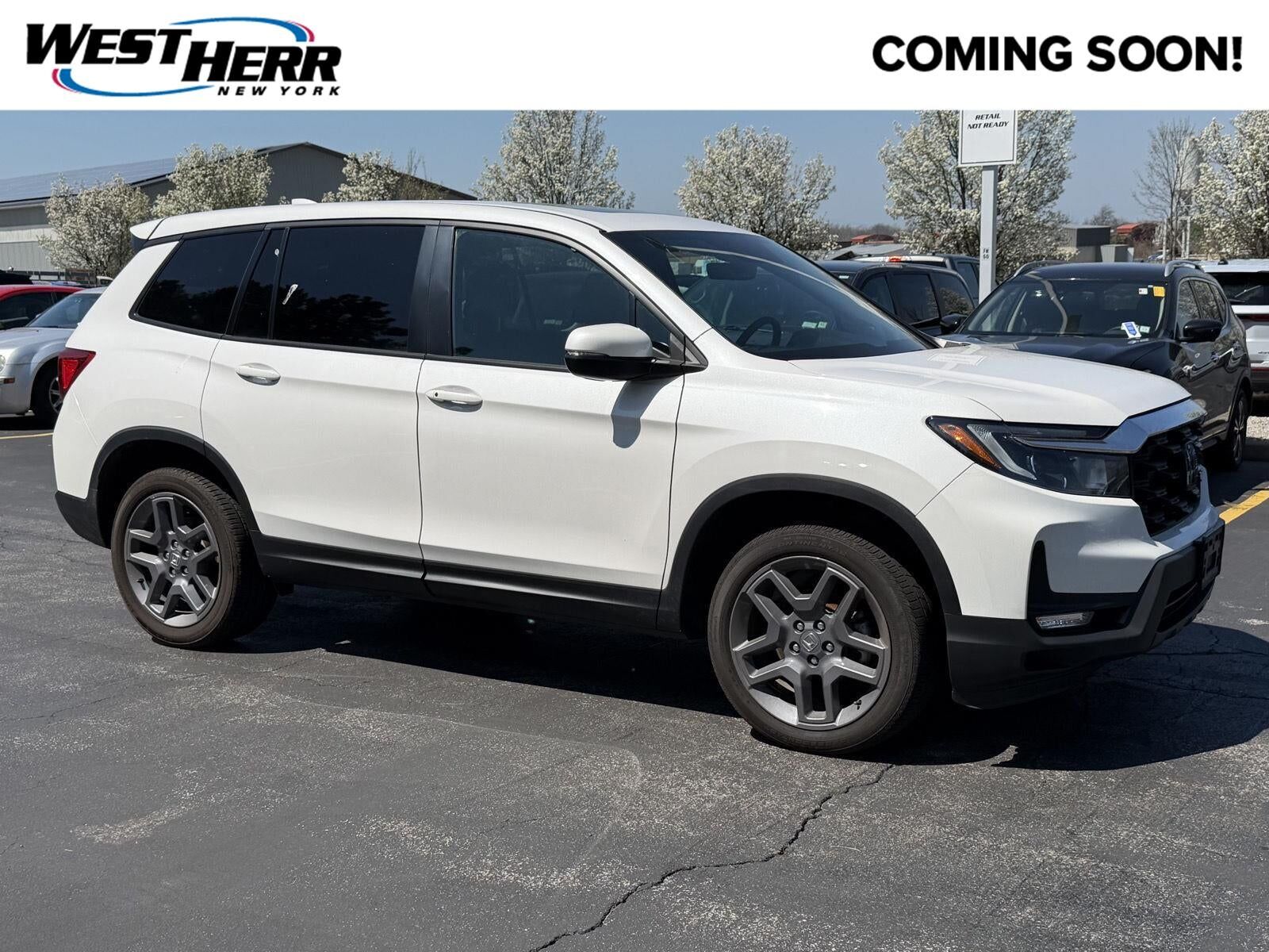2023 HONDA Passport