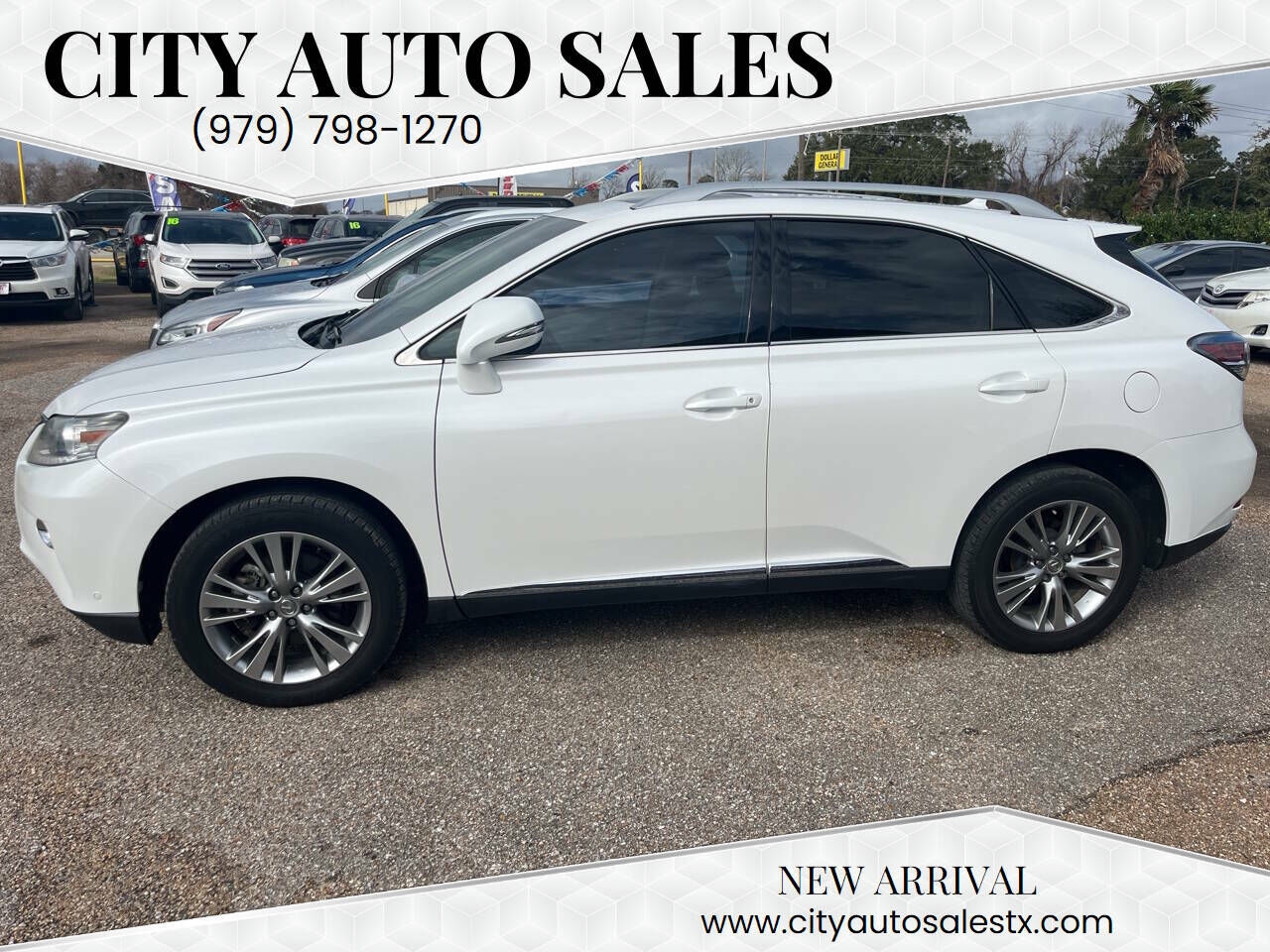 2013 LEXUS RX