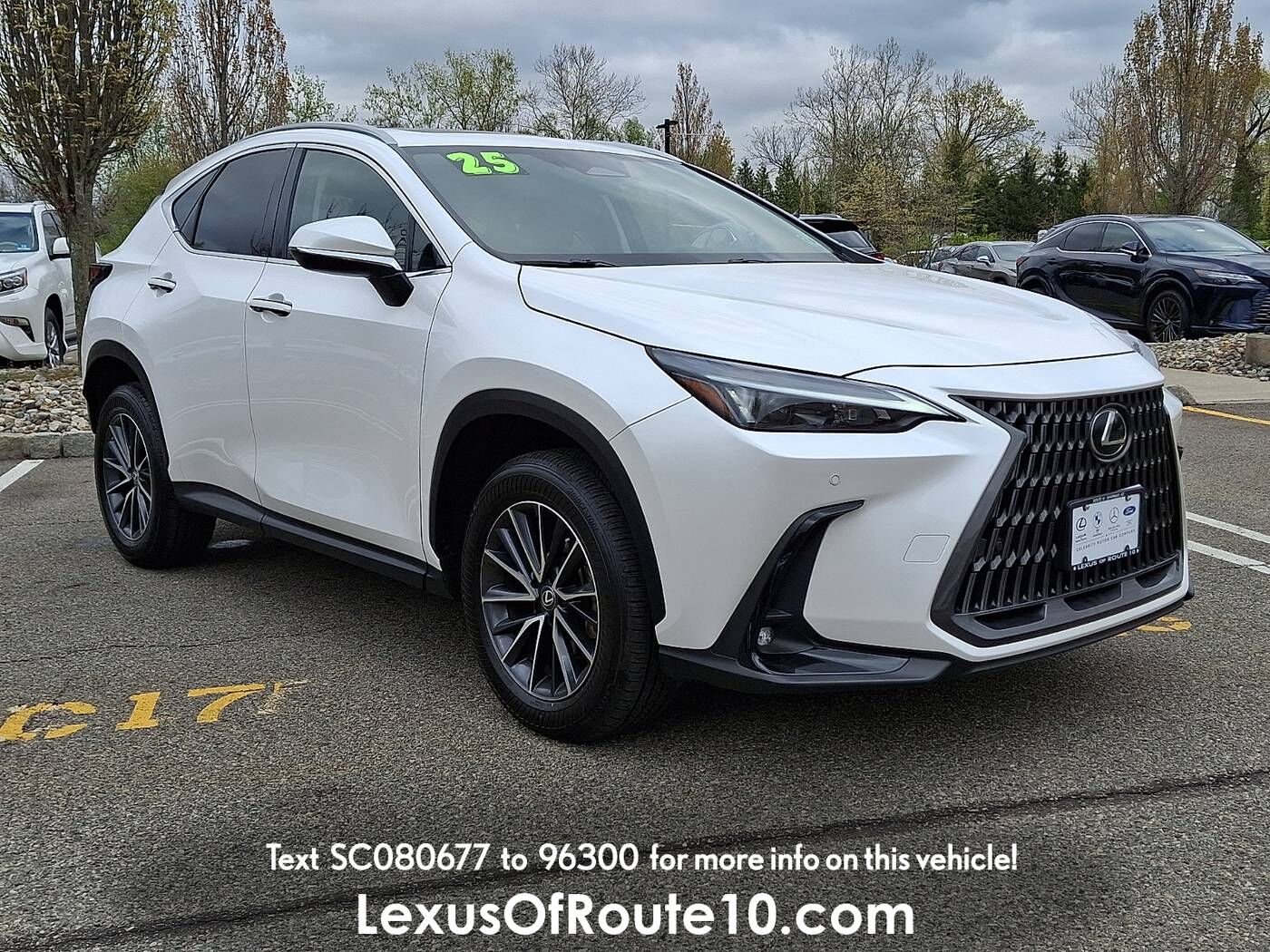 2025 LEXUS NX