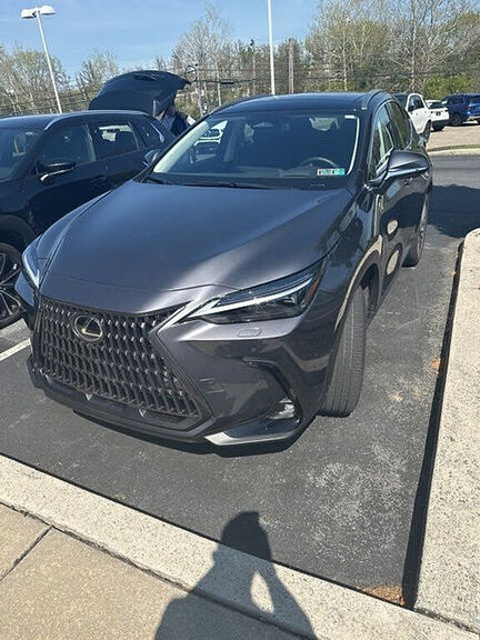 2024 LEXUS NX