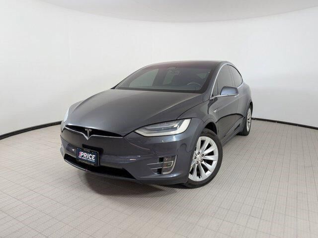 2019 TESLA Model X