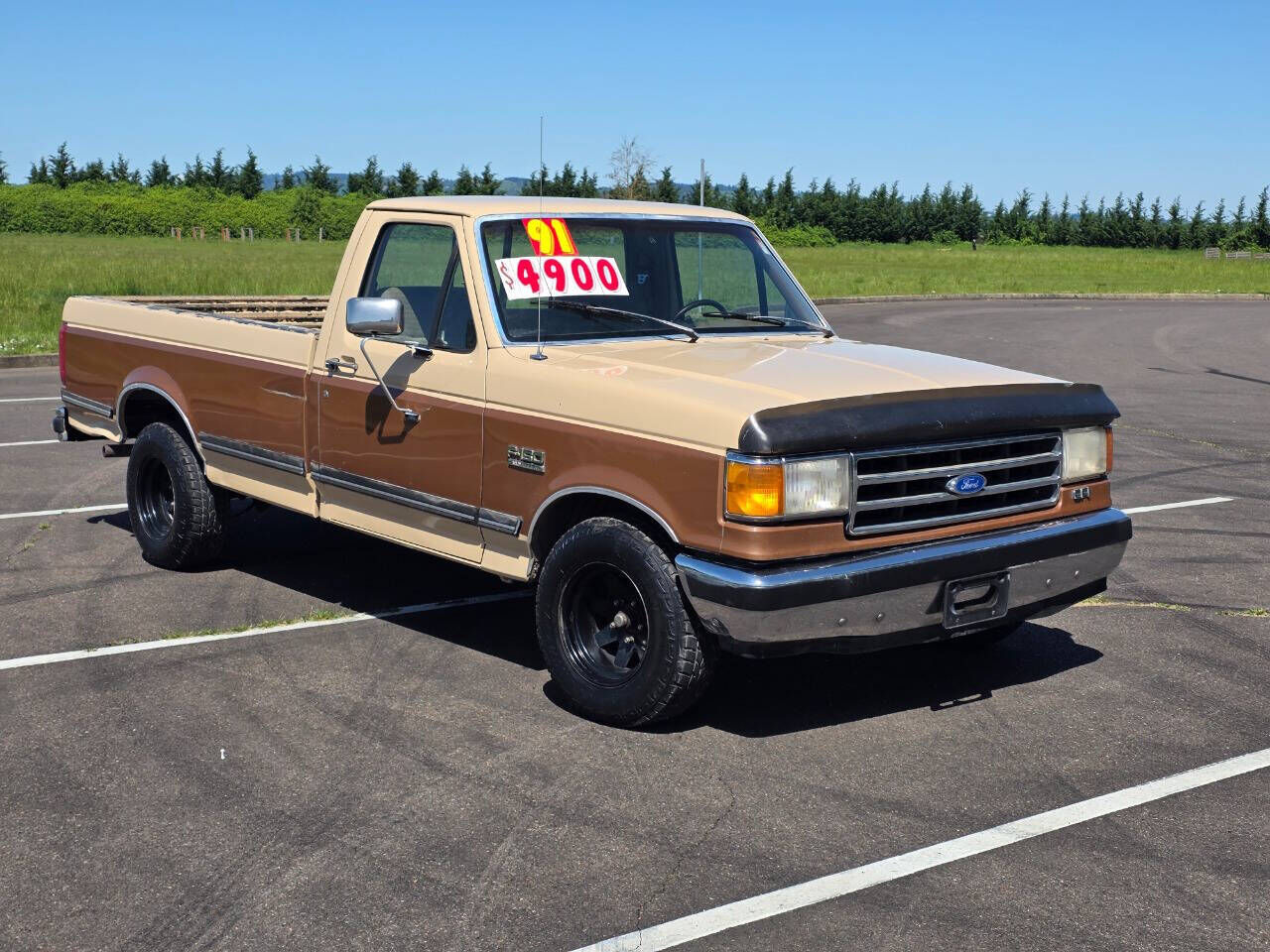 1991 FORD F-150