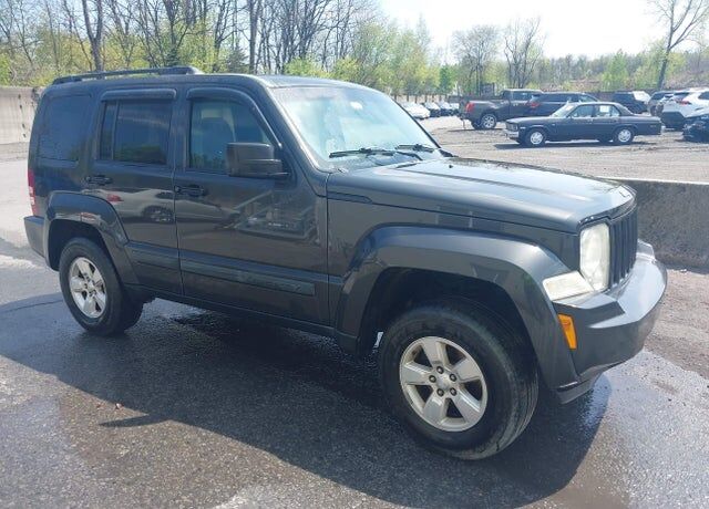 2010 JEEP Liberty