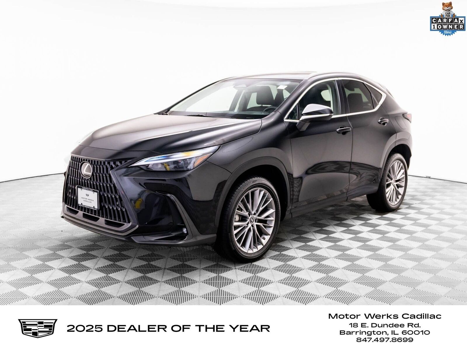 2023 LEXUS NX