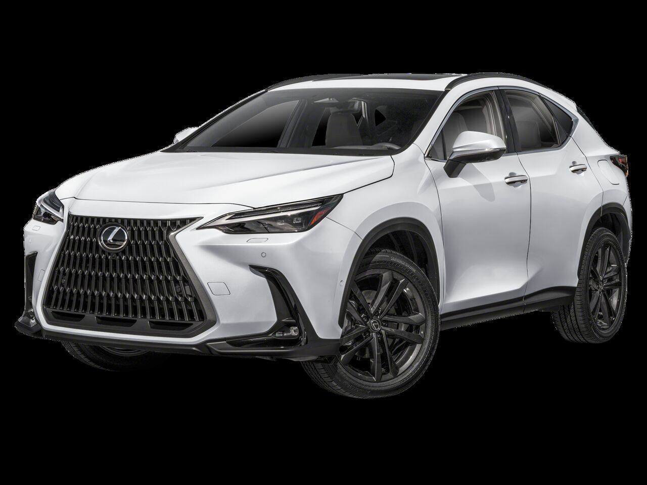 2026 LEXUS NX