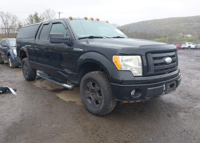 2009 FORD F-150