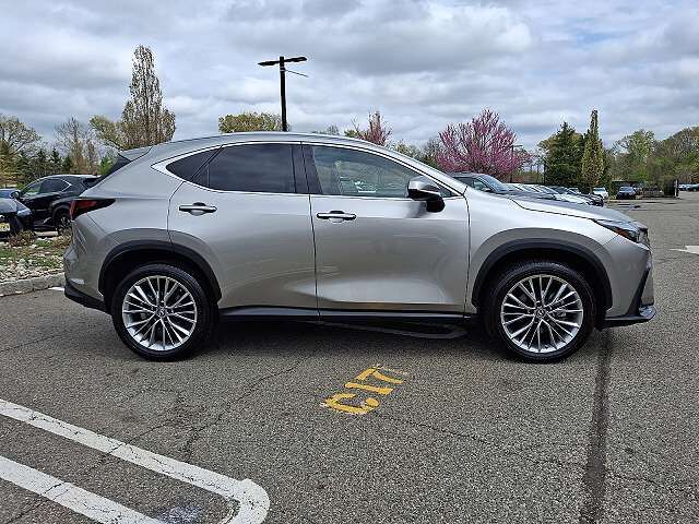 2025 LEXUS NX