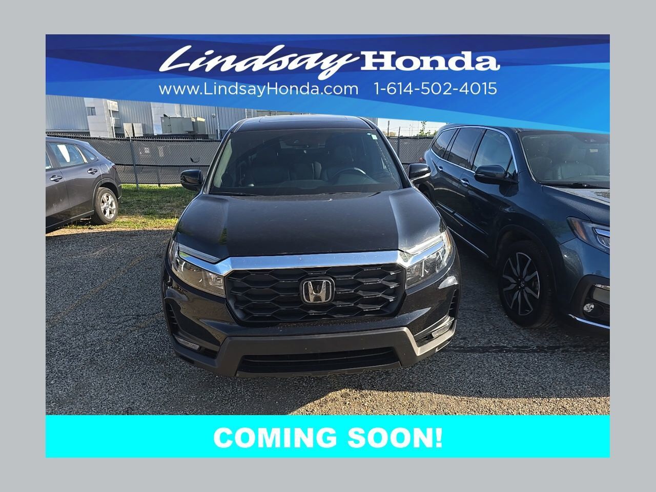 2023 HONDA Passport