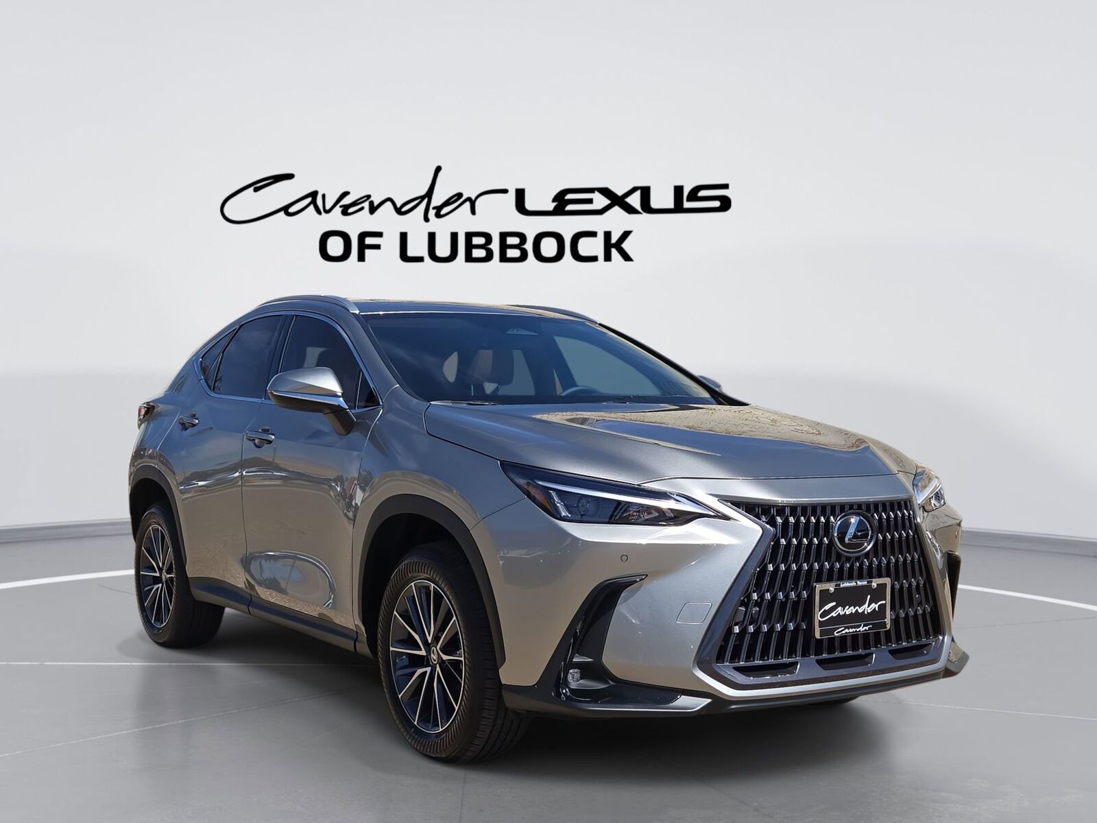 2026 LEXUS NX