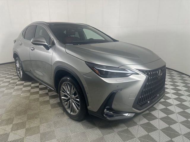 2024 LEXUS NX