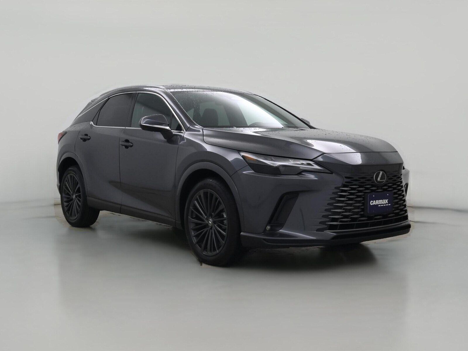 2025 LEXUS RX