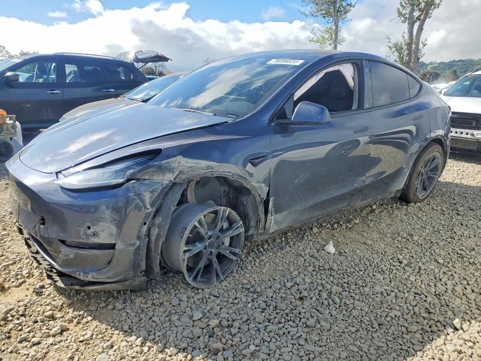 2021 TESLA Model Y