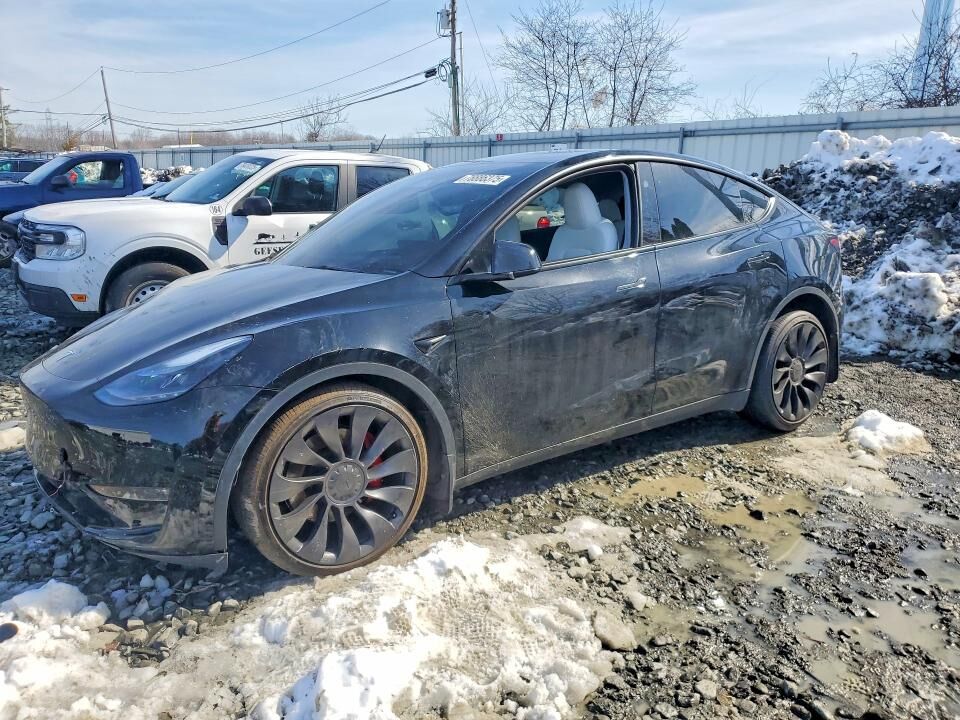 2025 TESLA Model Y