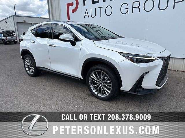 2024 LEXUS NX
