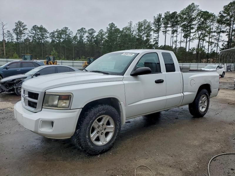 2010 DODGE Dakota