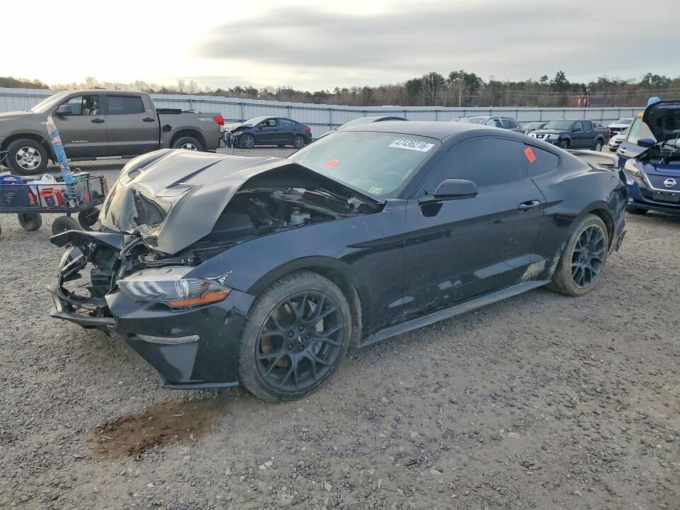 2019 FORD Mustang