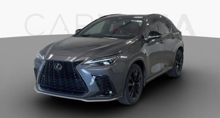 2024 LEXUS NX