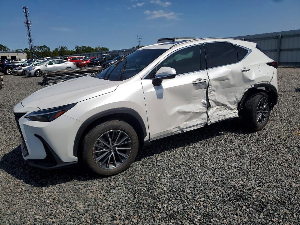 2024 LEXUS NX