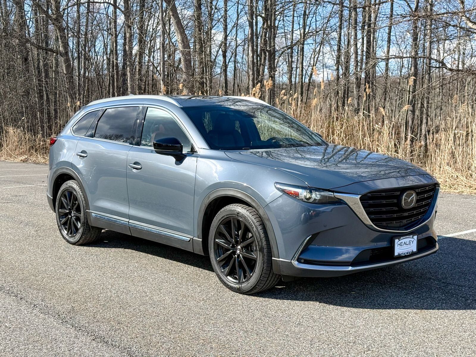 2022 MAZDA CX-9