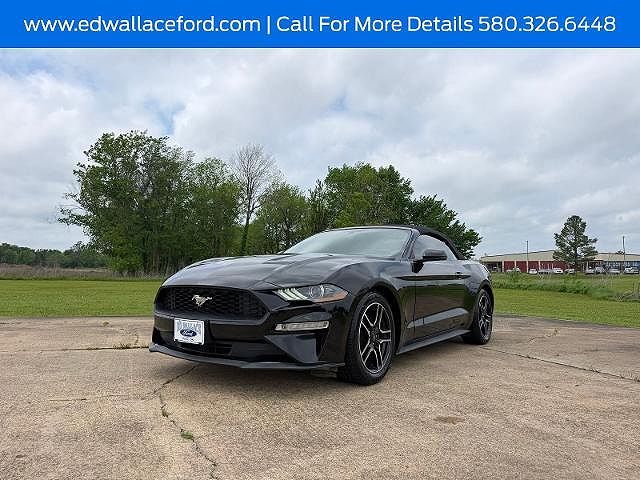 2019 FORD Mustang