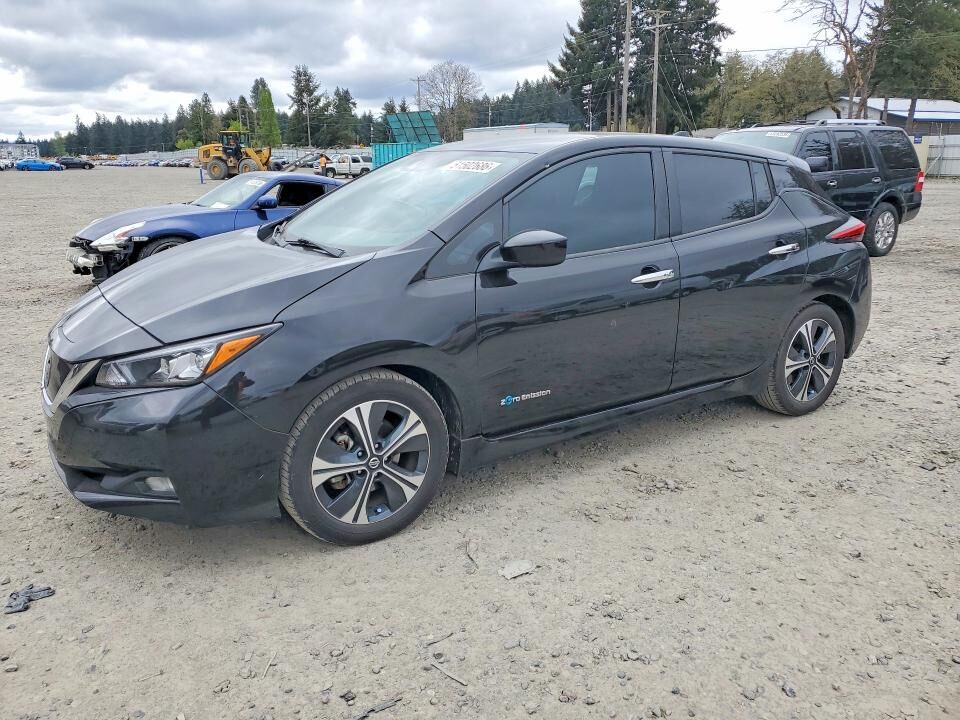 2019 NISSAN Leaf