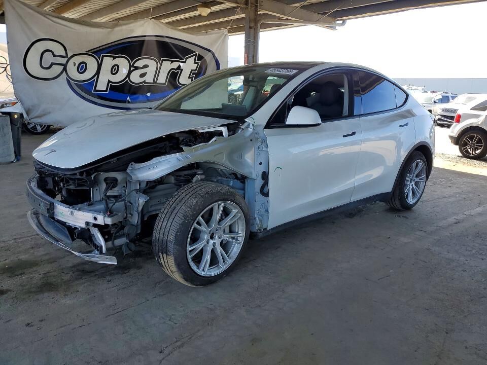 2020 TESLA Model Y