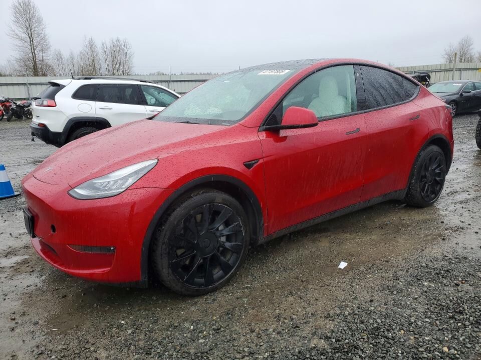 2021 TESLA Model Y