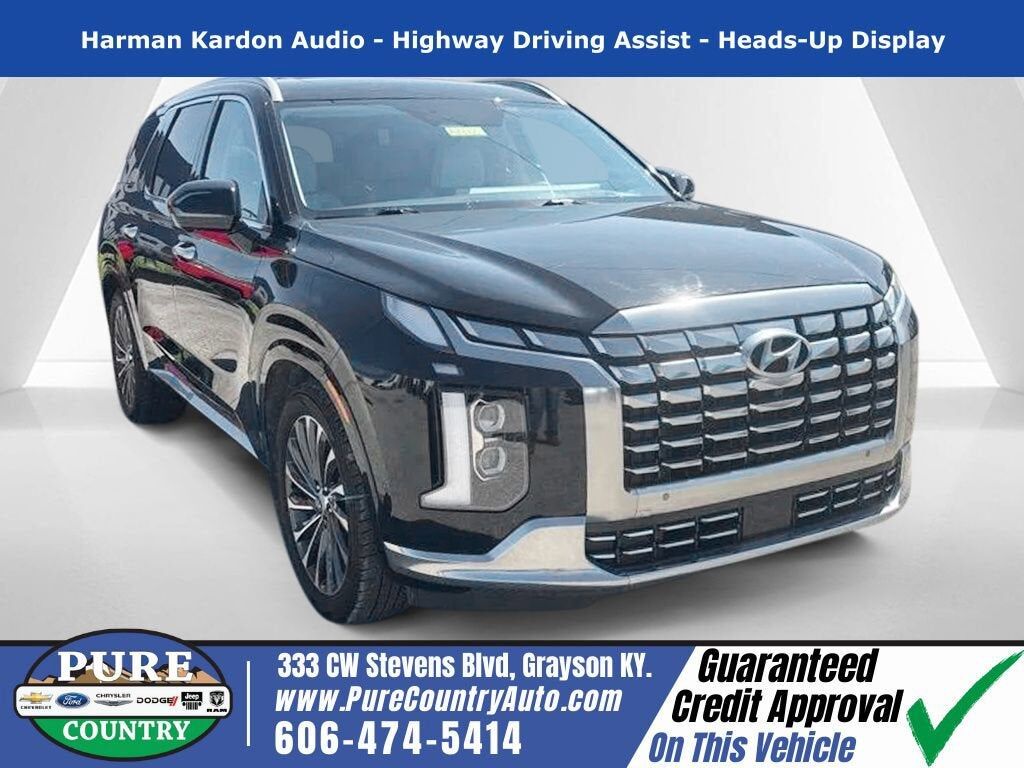 2024 HYUNDAI Palisade