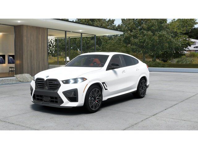 2026 BMW X6