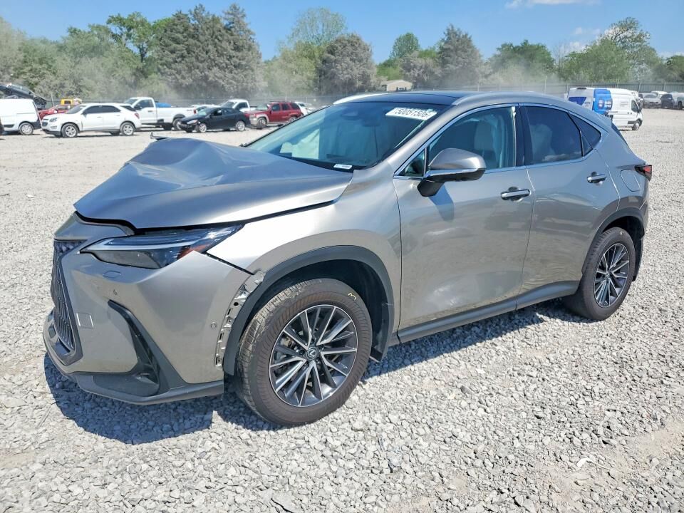 2025 LEXUS NX