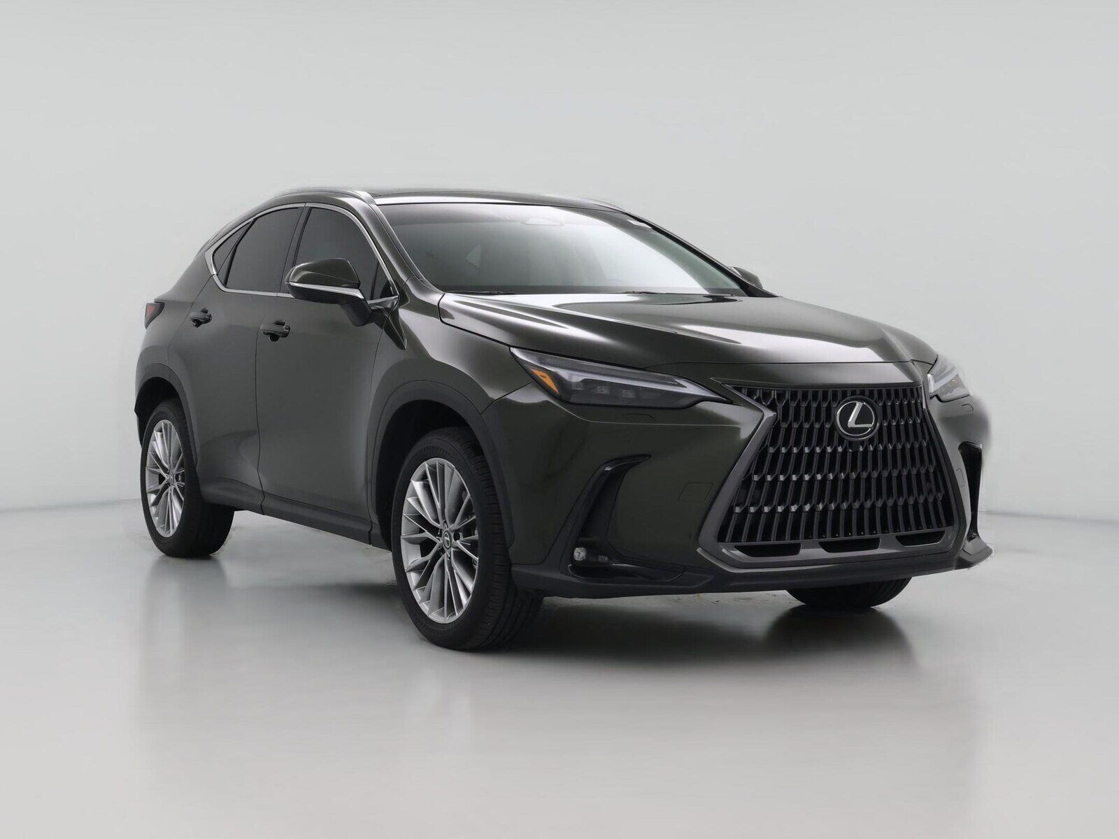 2026 LEXUS NX