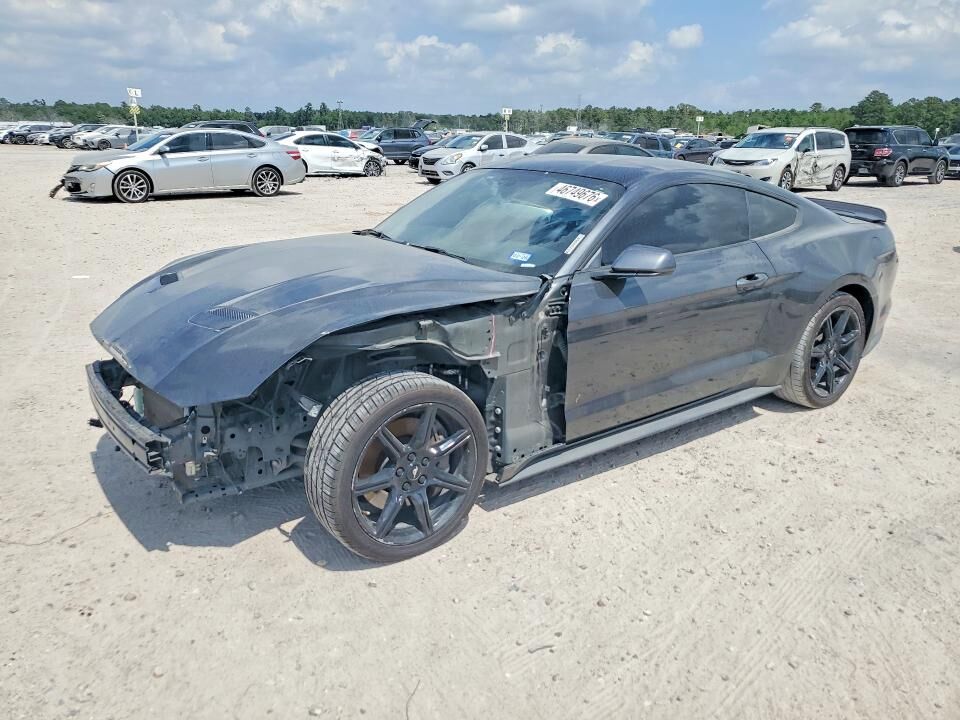 2019 FORD Mustang