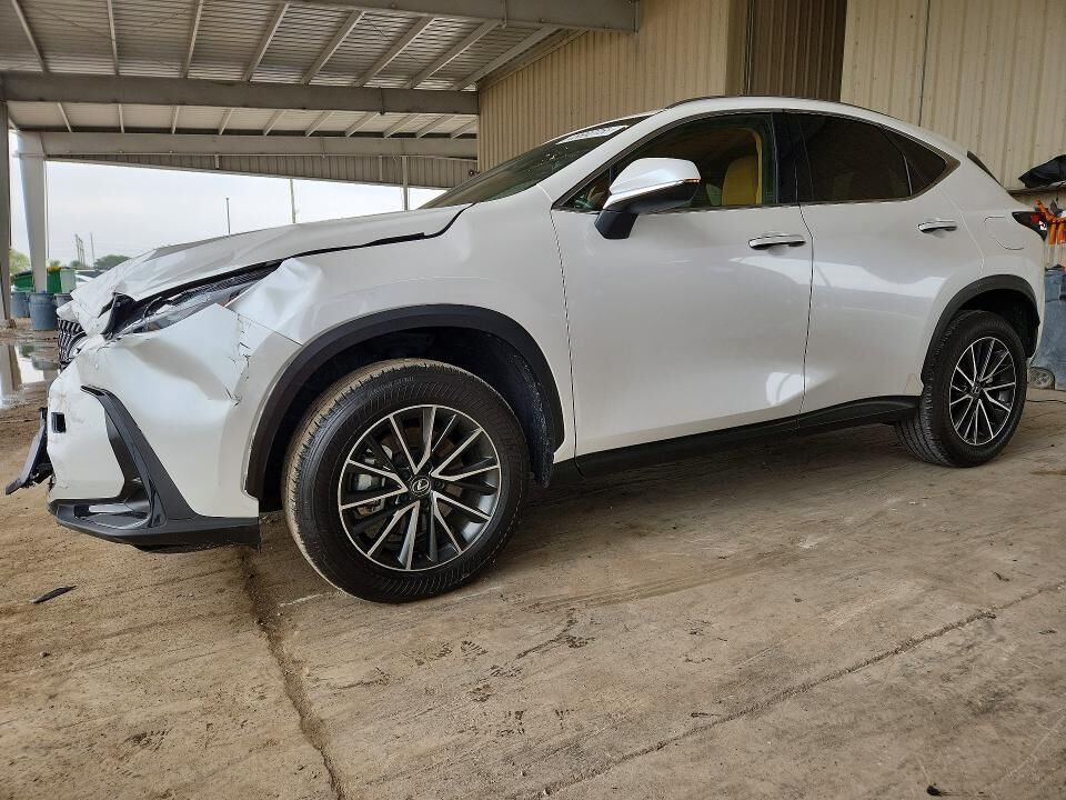 2024 LEXUS NX