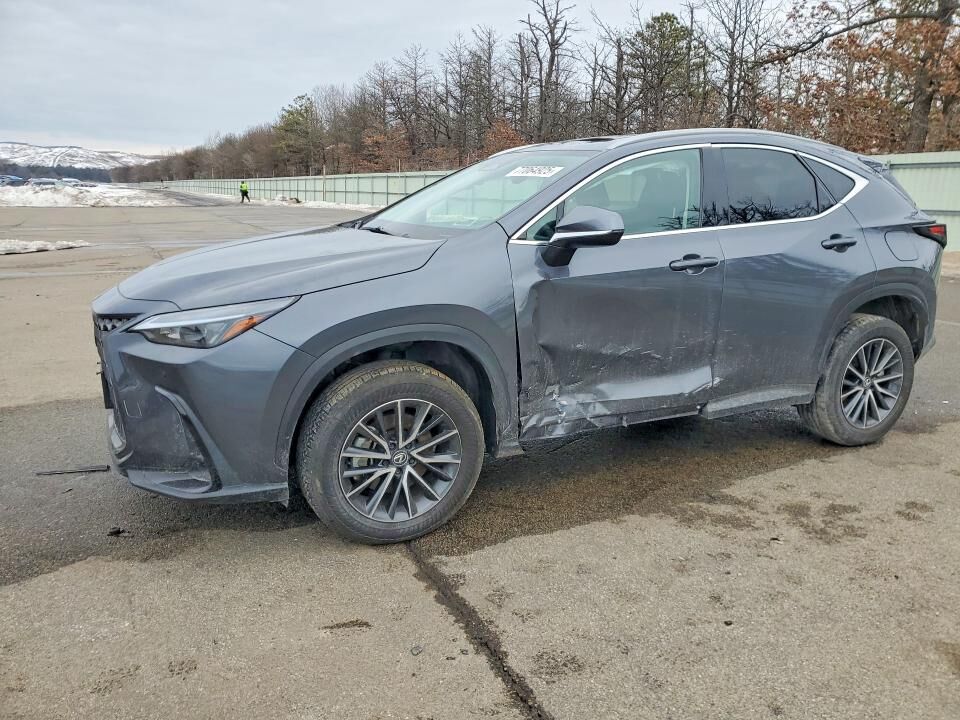2024 LEXUS NX