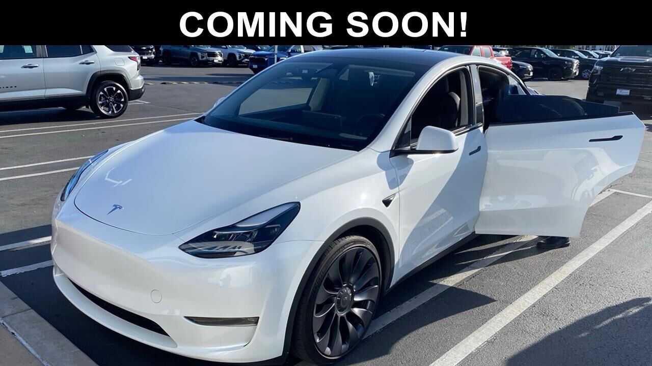 2024 TESLA Model Y
