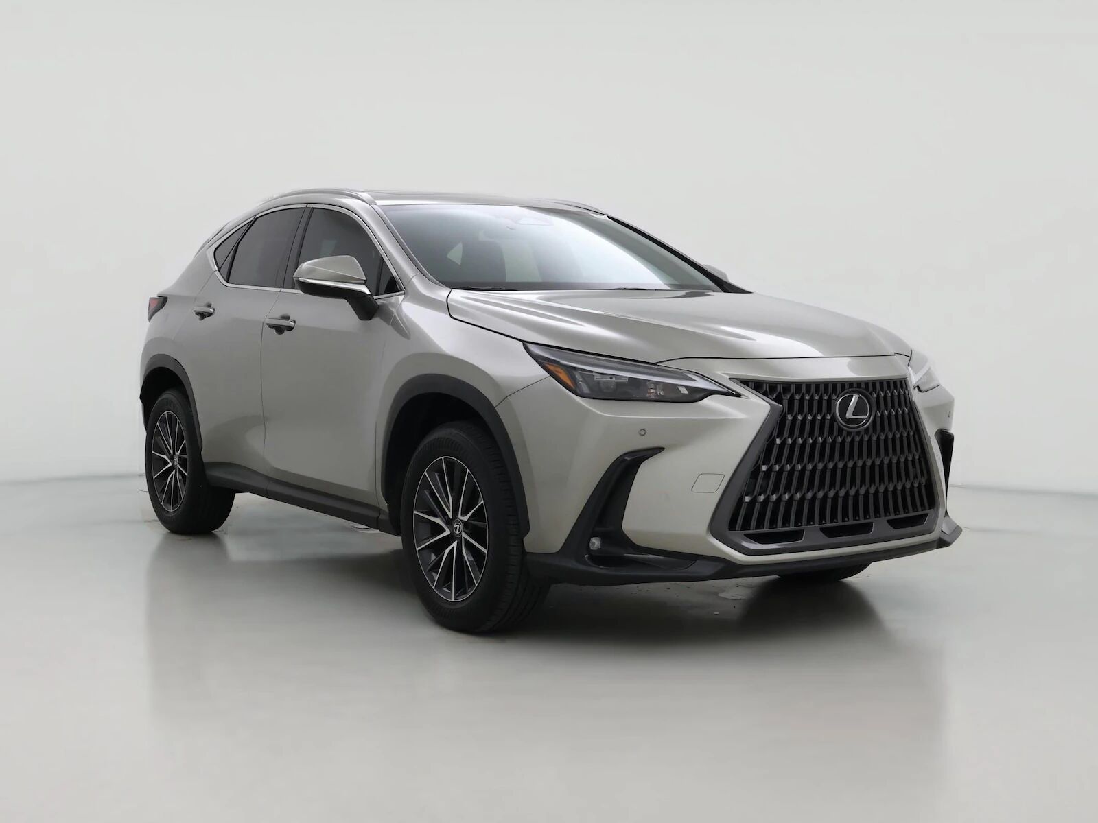 2024 LEXUS NX