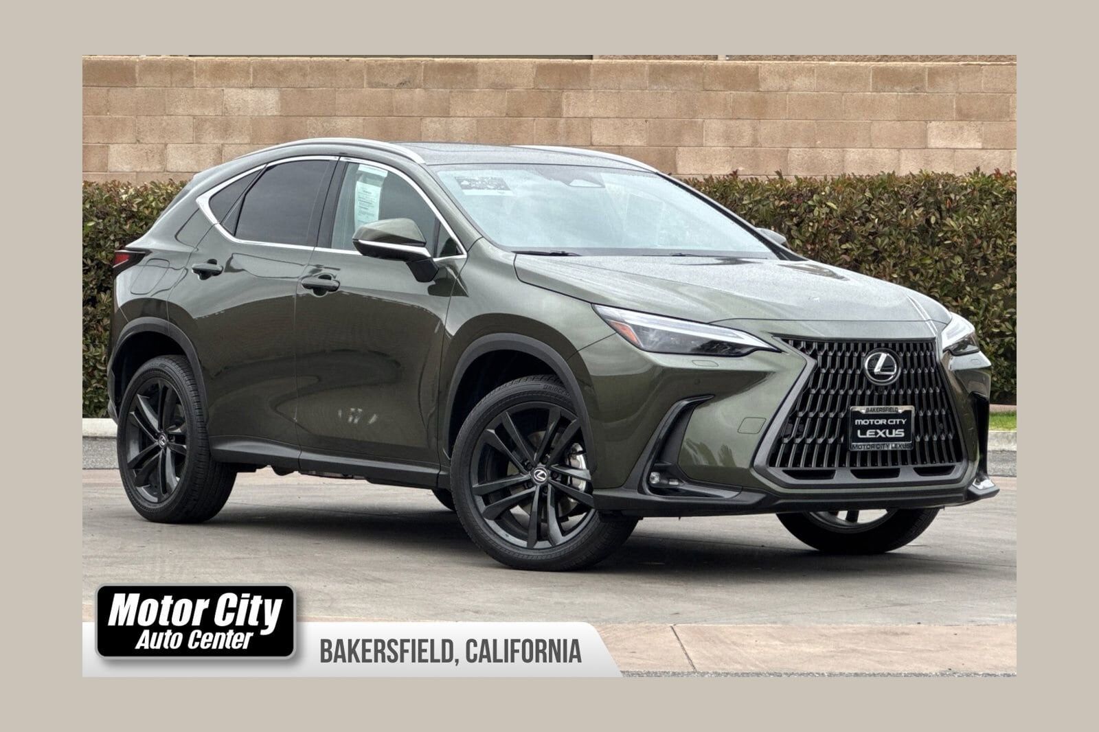 2024 LEXUS NX