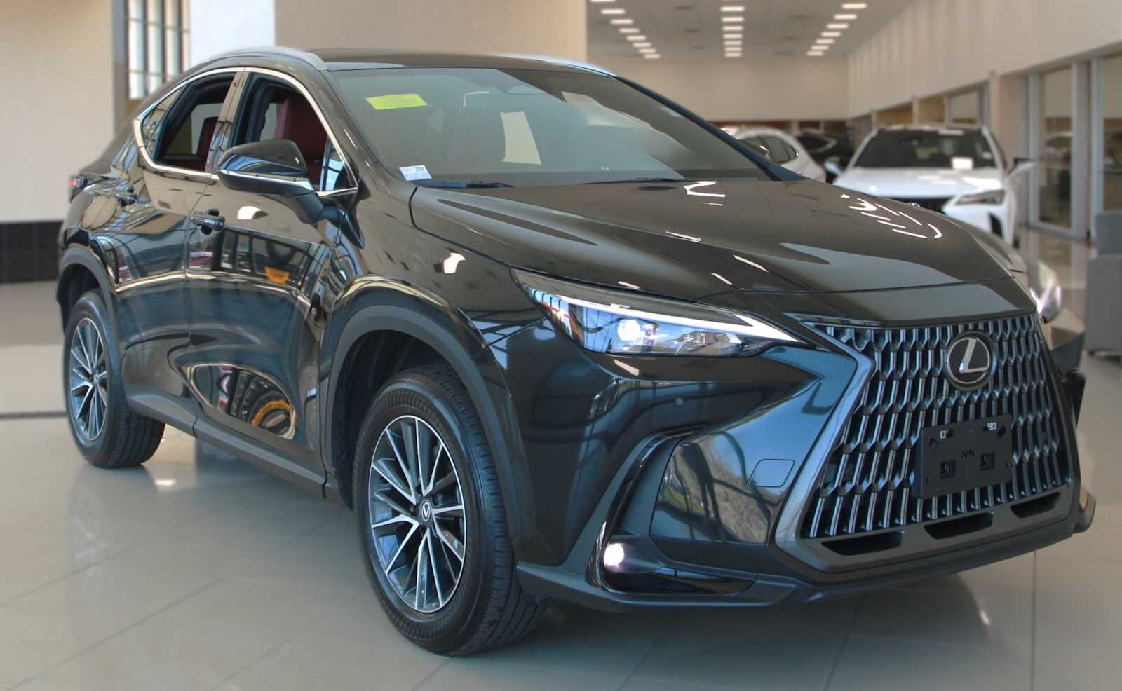 2025 LEXUS NX
