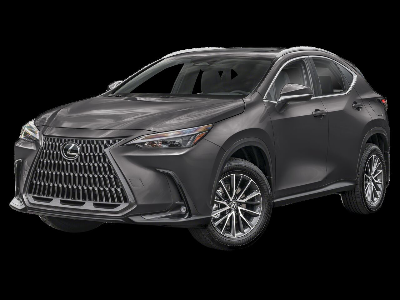 2025 LEXUS NX