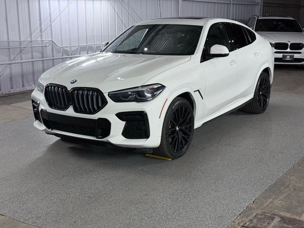 2023 BMW X6