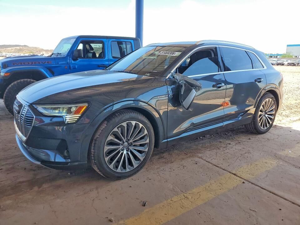 2019 AUDI e-tron