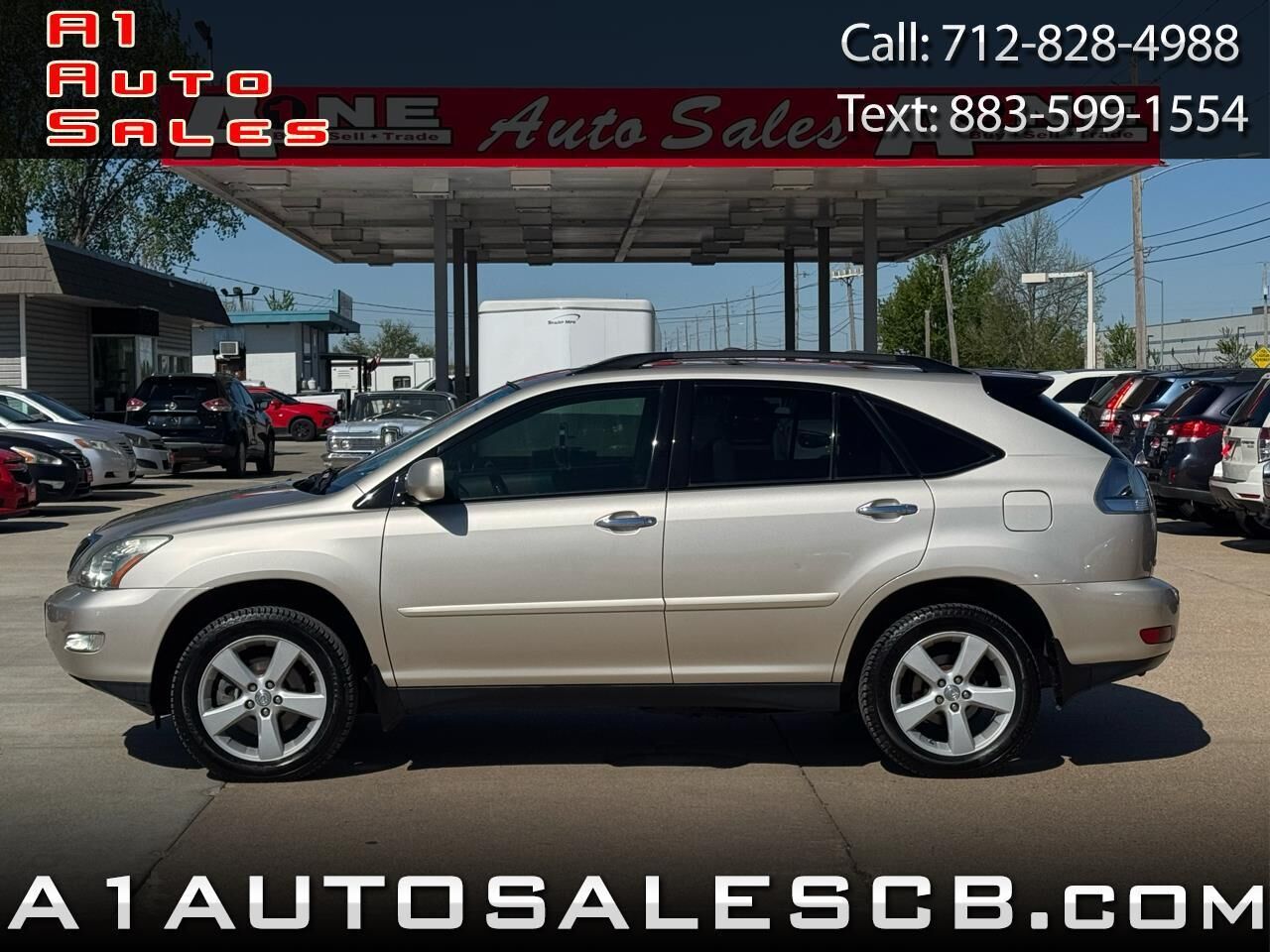 2008 LEXUS RX