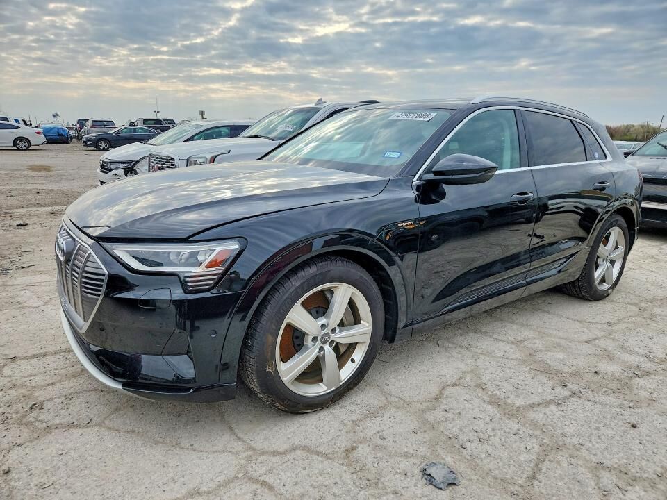 2019 AUDI e-tron
