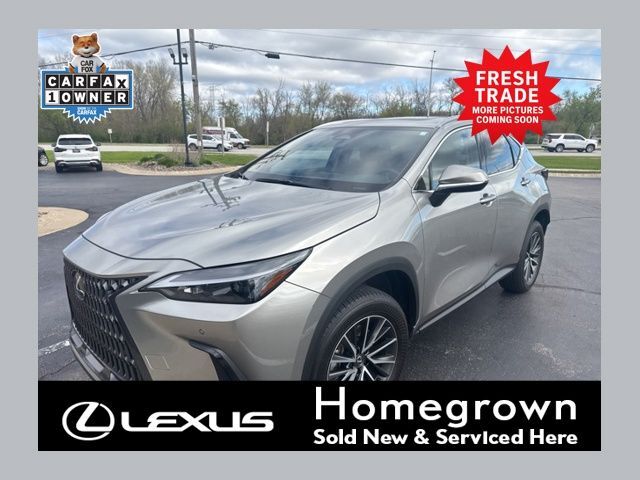 2024 LEXUS NX