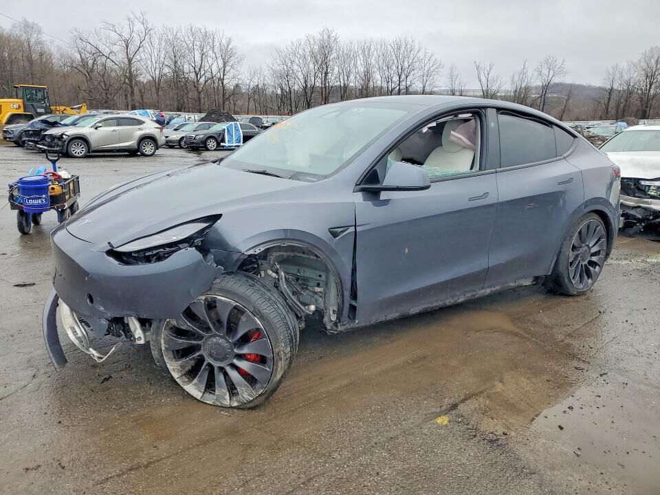 2023 TESLA Model Y