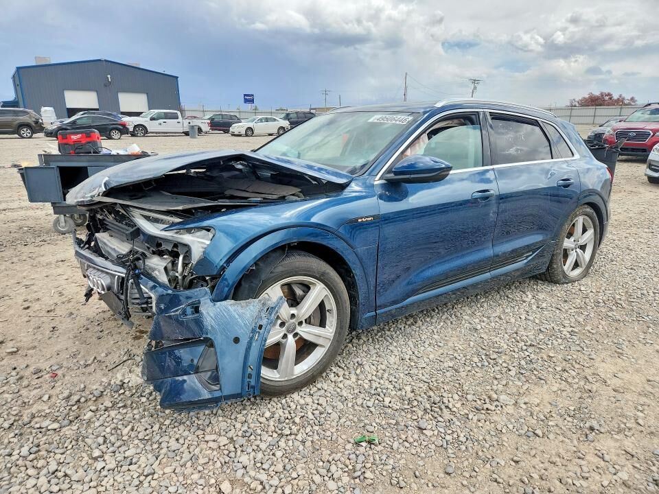 2019 AUDI e-tron