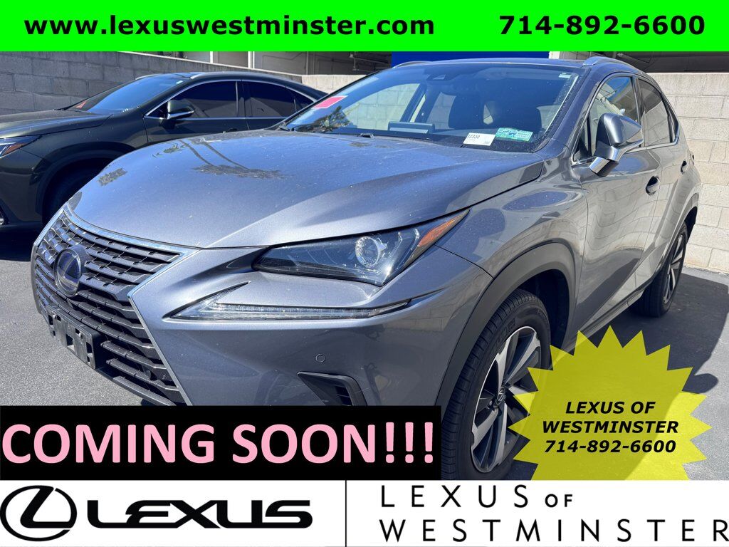 2020 LEXUS NX