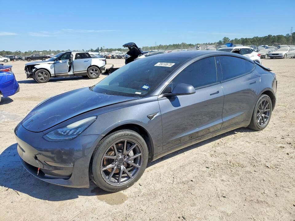 2019 TESLA Model 3
