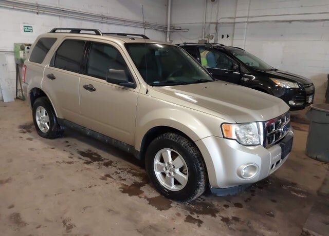 2010 FORD Escape