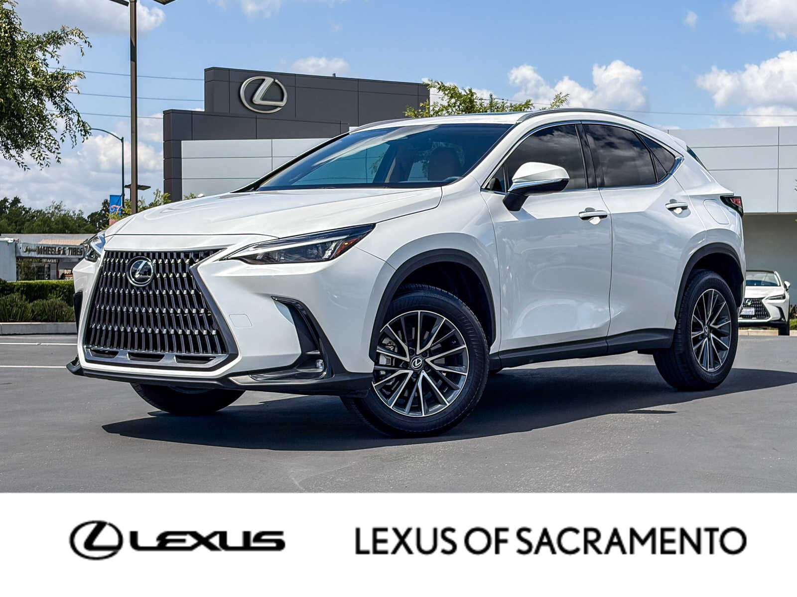 2024 LEXUS NX